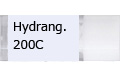 Hydrang.200C/ハイドレンジャ