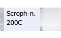 Scroph-n.200C/スクローフュラーリア