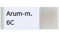 Arum-m.6C/アラム マクラタム