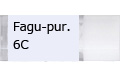 Fagu-pur.6C/ファガス パーピュリア