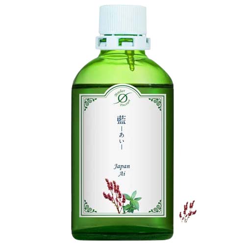 マザーチンクチャー藍（パーシカリア ティントリア） - ほめたま