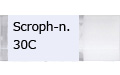 Scroph-n.30C/スクローフュラーリア